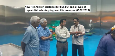 MHFM fish auction started