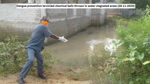 Dengue prevention