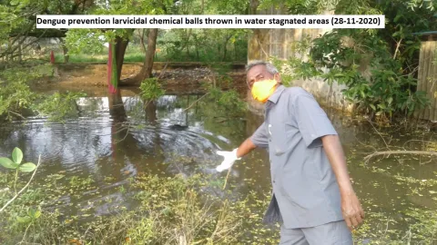Dengue prevention