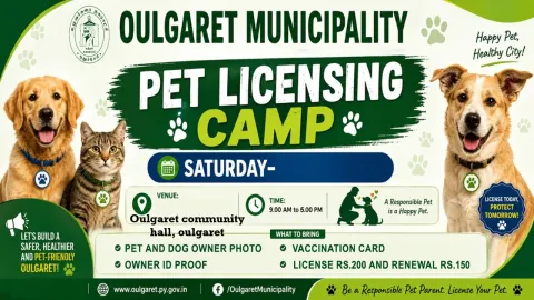 Pet licensing camp